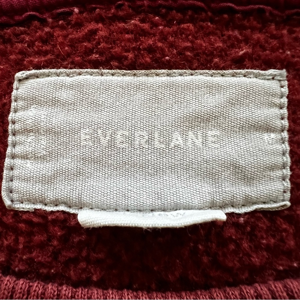 Everlane ReNew Sherpa Teddy Fleece Crewneck Pullover Rust Red Size Medium - Picture 14 of 16